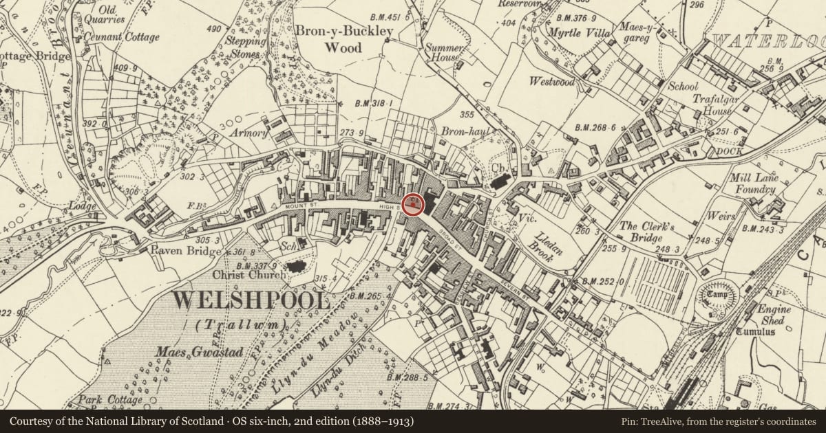 Ordnance Survey six-inch map, 2nd edition (1888–1913) covering the location of 46 High Street, Welshpool, Powys, with a pin at the register's coordinates