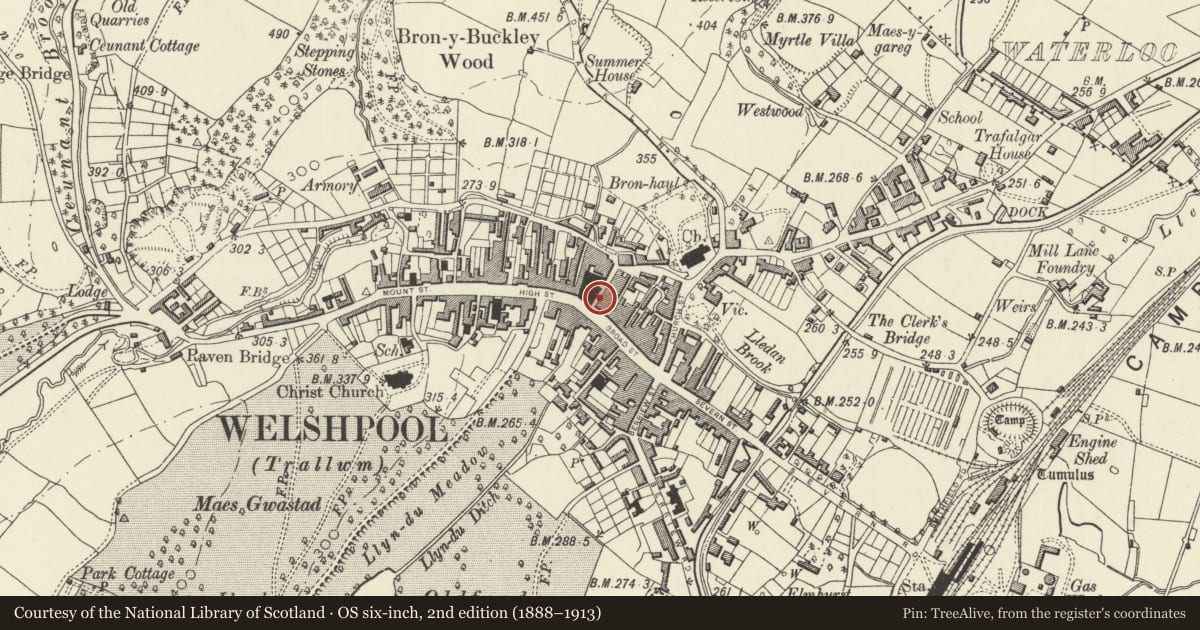 Ordnance Survey six-inch map, 2nd edition (1888–1913) covering the location of 12 Hall Street, Welshpool, Powys, with a pin at the register's coordinates