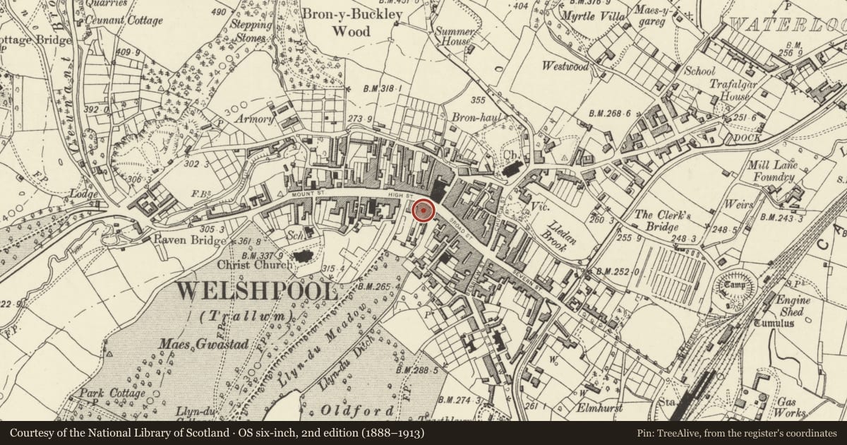 Ordnance Survey six-inch map, 2nd edition (1888–1913) covering the location of 1A High Street, Welshpool, Powys, with a pin at the register's coordinates