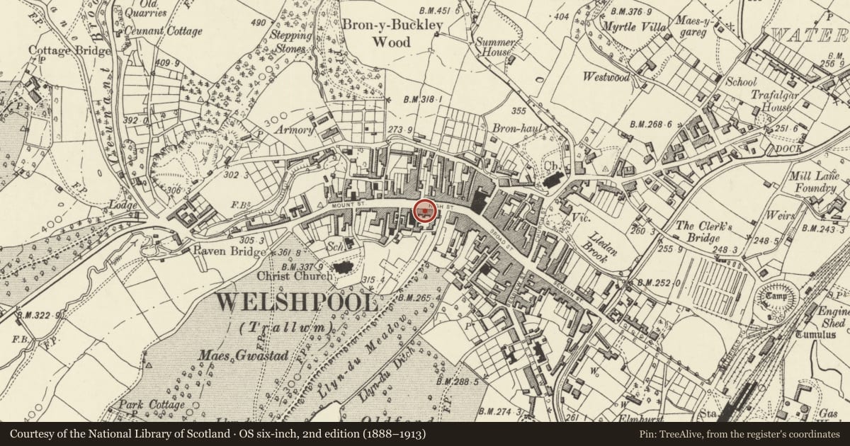 Ordnance Survey six-inch map, 2nd edition (1888–1913) covering the location of 10 High Street, Welshpool, Powys, with a pin at the register's coordinates