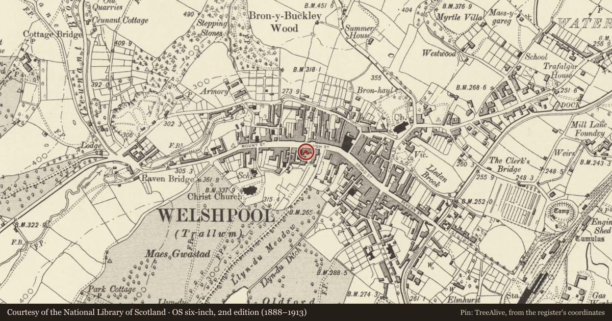 Ordnance Survey six-inch map, 2nd edition (1888–1913) covering the location of 11A High Street, Welshpool, Powys, with a pin at the register's coordinates