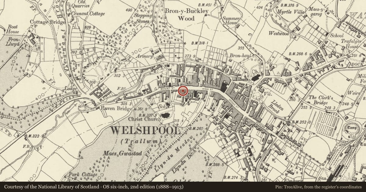 Ordnance Survey six-inch map, 2nd edition (1888–1913) covering the location of 18 High Street, Welshpool, Powys, with a pin at the register's coordinates