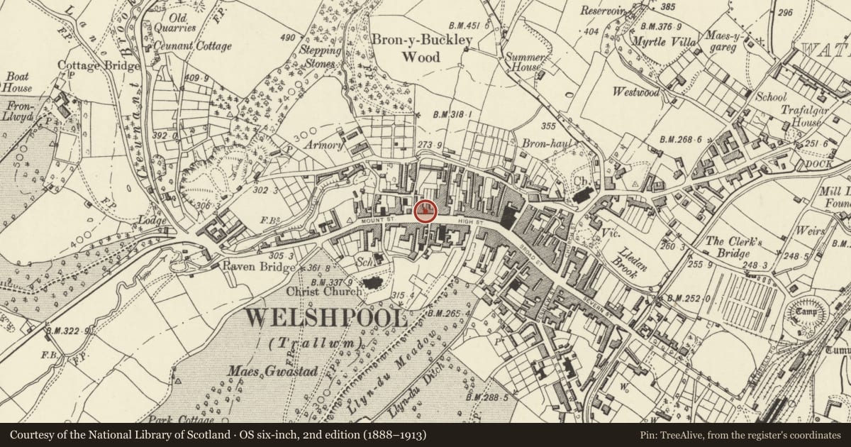 Ordnance Survey six-inch map, 2nd edition (1888–1913) covering the location of 25 High Street, Welshpool, Powys, with a pin at the register's coordinates