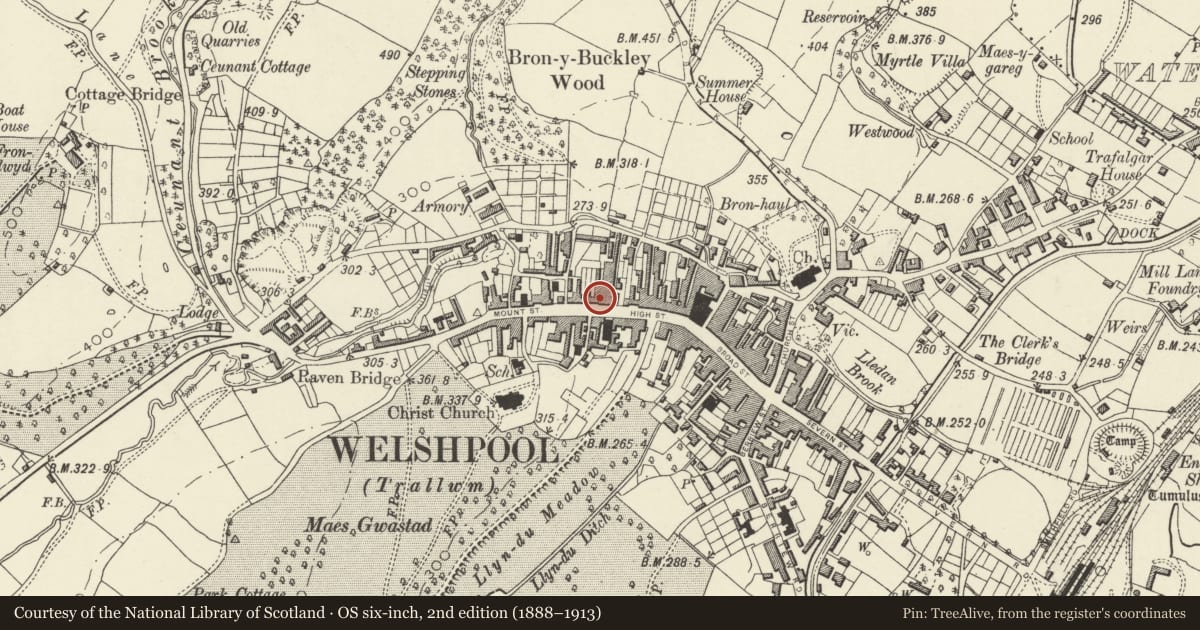 Ordnance Survey six-inch map, 2nd edition (1888–1913) covering the location of 30 High Street, Welshpool, Powys, with a pin at the register's coordinates