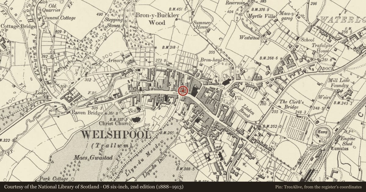 Ordnance Survey six-inch map, 2nd edition (1888–1913) covering the location of 42 High Street, Welshpool, Powys, with a pin at the register's coordinates