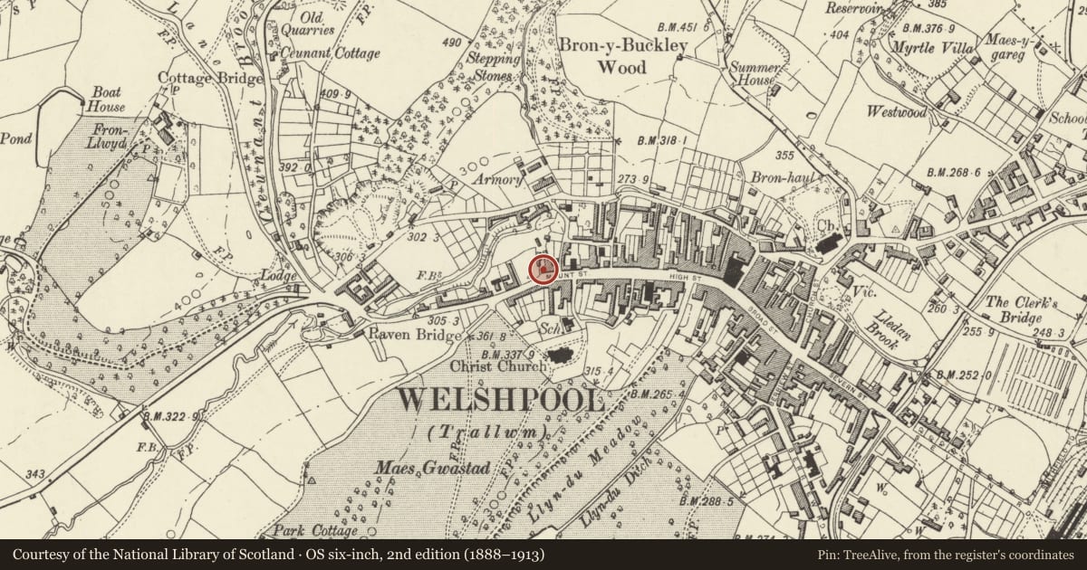 Ordnance Survey six-inch map, 2nd edition (1888–1913) covering the location of 35 Mount Street, Welshpool, Powys, with a pin at the register's coordinates