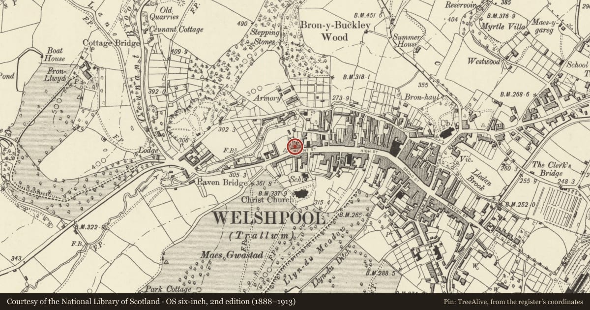 Ordnance Survey six-inch map, 2nd edition (1888–1913) covering the location of 37 Mount Street, Welshpool, Powys, with a pin at the register's coordinates