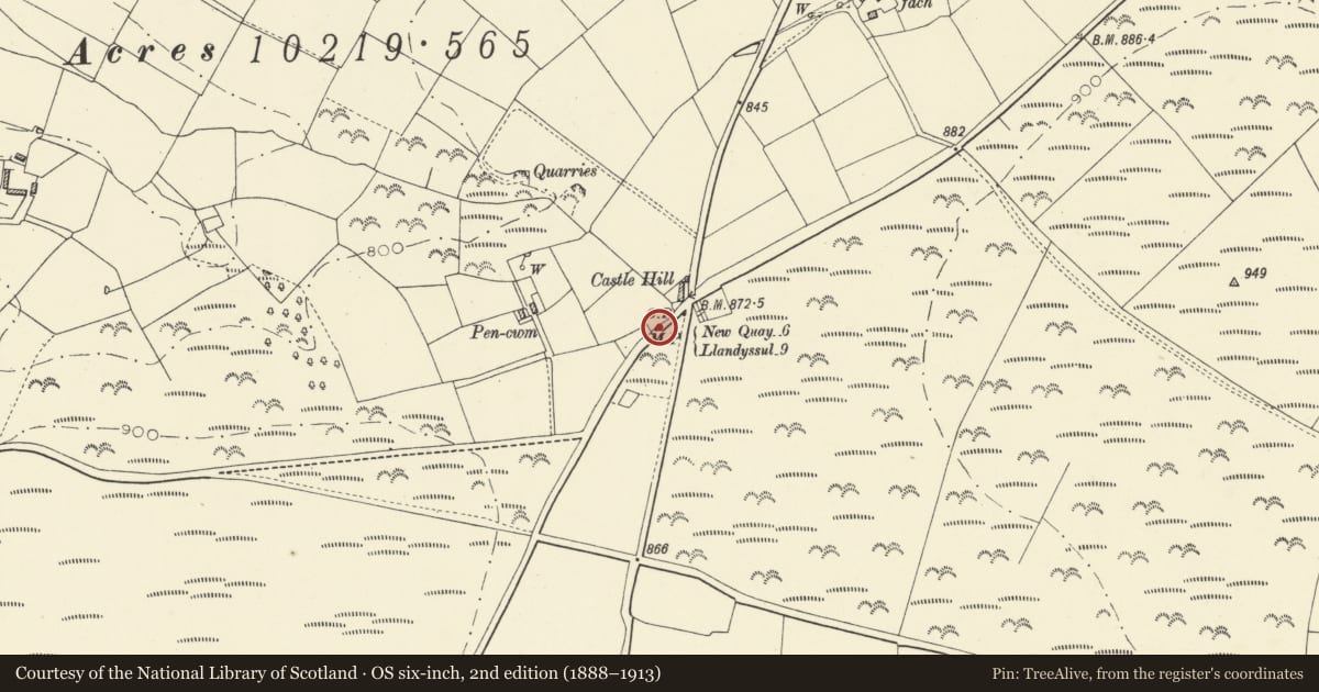 Ordnance Survey six-inch map, 2nd edition (1888–1913) covering the location of Milepost at Post-bach, Llandysiliogogo, Ceredigion, with a pin at the register's coordinates