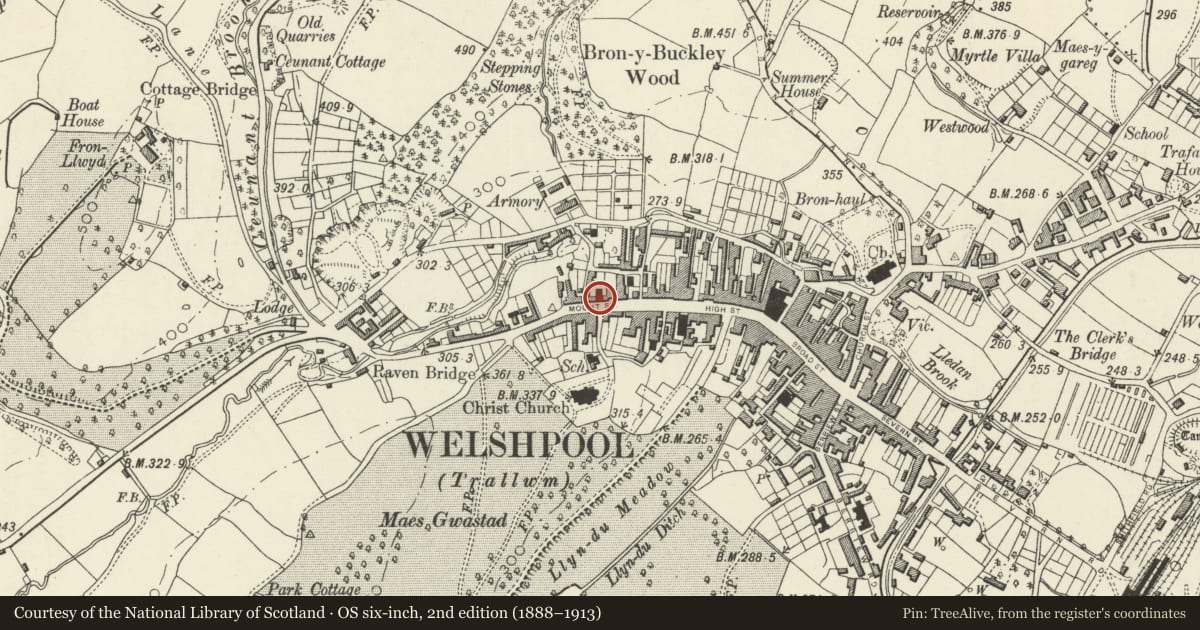 Ordnance Survey six-inch map, 2nd edition (1888–1913) covering the location of 41 Mount Street, Welshpool, Powys, with a pin at the register's coordinates