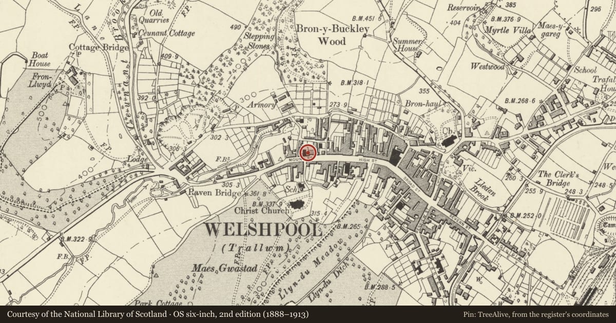 Ordnance Survey six-inch map, 2nd edition (1888–1913) covering the location of Park Terrace, Welshpool, Powys, with a pin at the register's coordinates