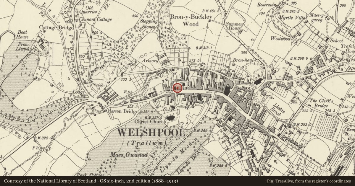 Ordnance Survey six-inch map, 2nd edition (1888–1913) covering the location of Park Terrace, Welshpool, Powys, with a pin at the register's coordinates