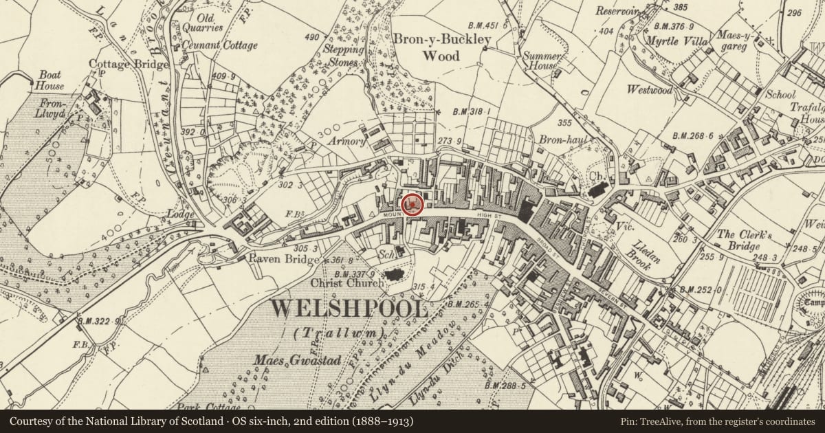 Ordnance Survey six-inch map, 2nd edition (1888–1913) covering the location of Park Terrace, Welshpool, Powys, with a pin at the register's coordinates