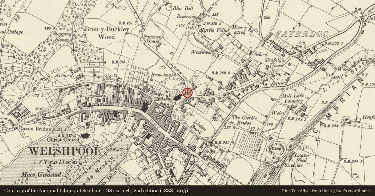 Ordnance Survey six-inch map, 2nd edition (1888–1913) covering the location of Former Powysland Museum & Library, Welshpool, Powys, with a pin at the register's coordinates