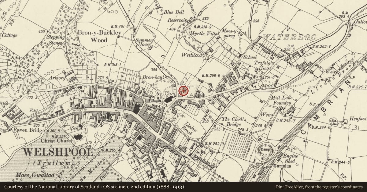 Ordnance Survey six-inch map, 2nd edition (1888–1913) covering the location of Pen Maes, Welshpool, Powys, with a pin at the register's coordinates