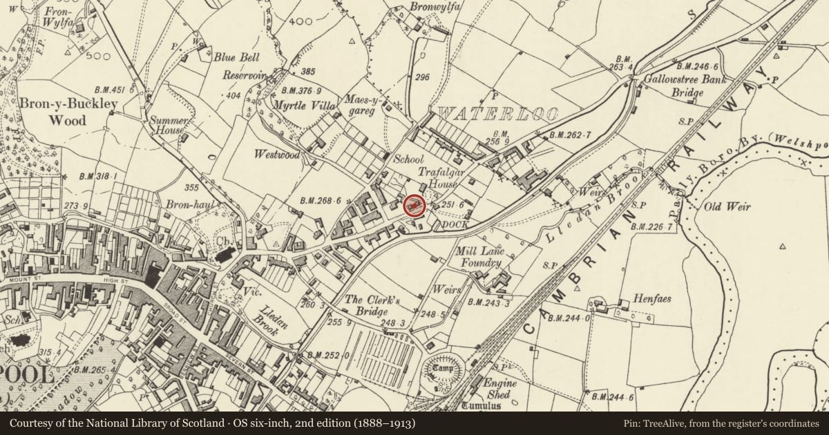 Ordnance Survey six-inch map, 2nd edition (1888–1913) covering the location of Railings, gates and walls, Welshpool, Powys, with a pin at the register's coordinates