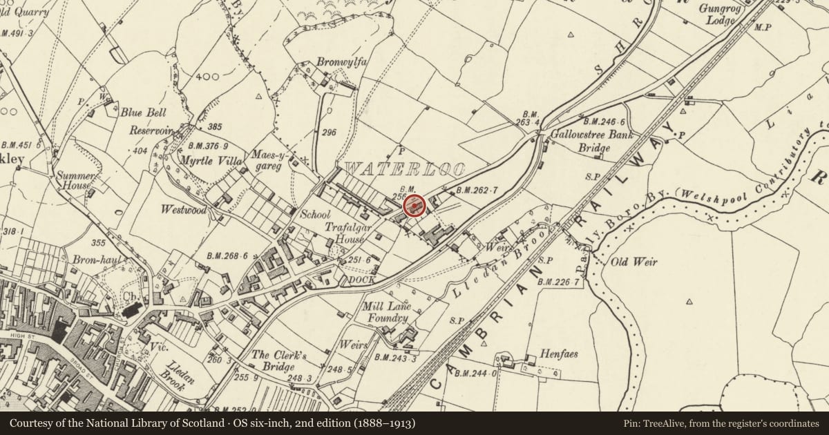 Ordnance Survey six-inch map, 2nd edition (1888–1913) covering the location of 2 Waterloo Terrace, Welshpool, Powys, with a pin at the register's coordinates