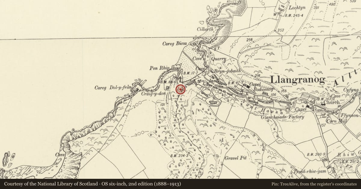 Ordnance Survey six-inch map, 2nd edition (1888–1913) covering the location of Lime Kiln at Llangrannog Beach, Ceredigion, with a pin at the register's coordinates