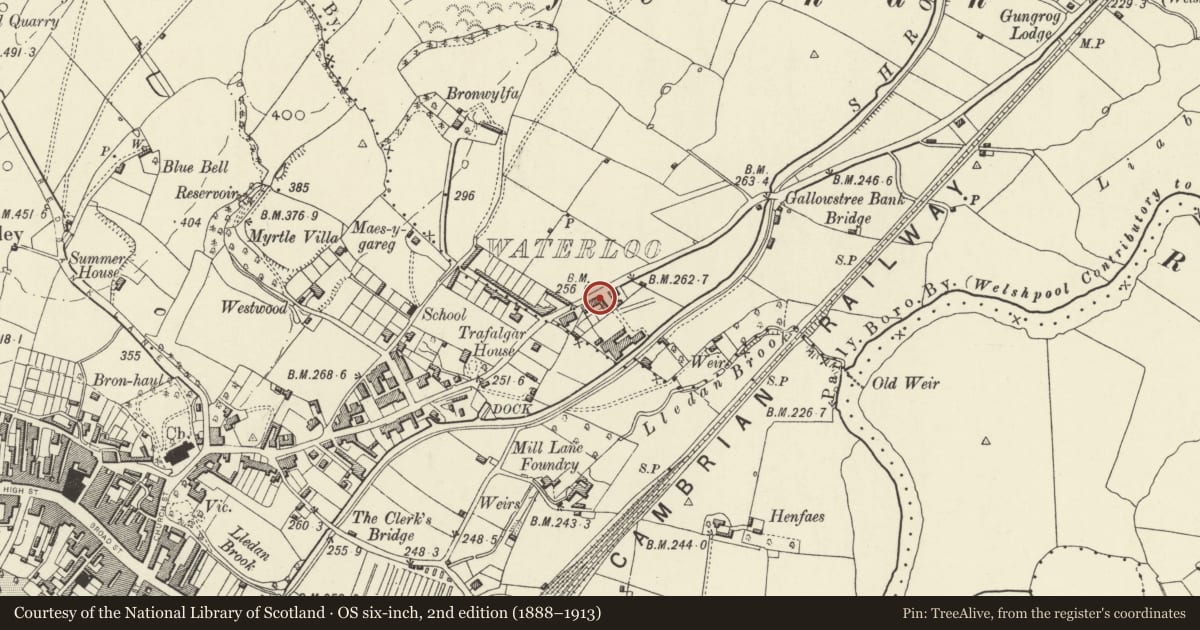Ordnance Survey six-inch map, 2nd edition (1888–1913) covering the location of 1 Waterloo Place, Welshpool, Powys, with a pin at the register's coordinates