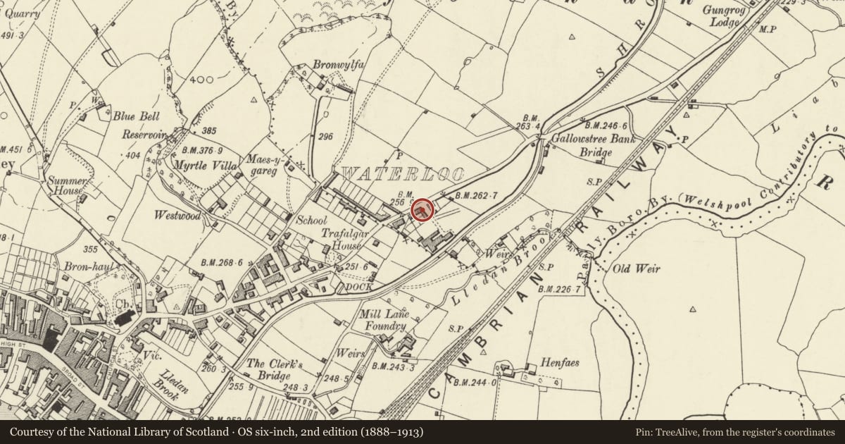 Ordnance Survey six-inch map, 2nd edition (1888–1913) covering the location of 2 Waterloo Place, Welshpool, Powys, with a pin at the register's coordinates