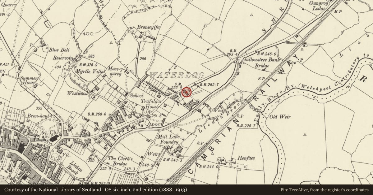 Ordnance Survey six-inch map, 2nd edition (1888–1913) covering the location of 3 Waterloo Place, Welshpool, Powys, with a pin at the register's coordinates