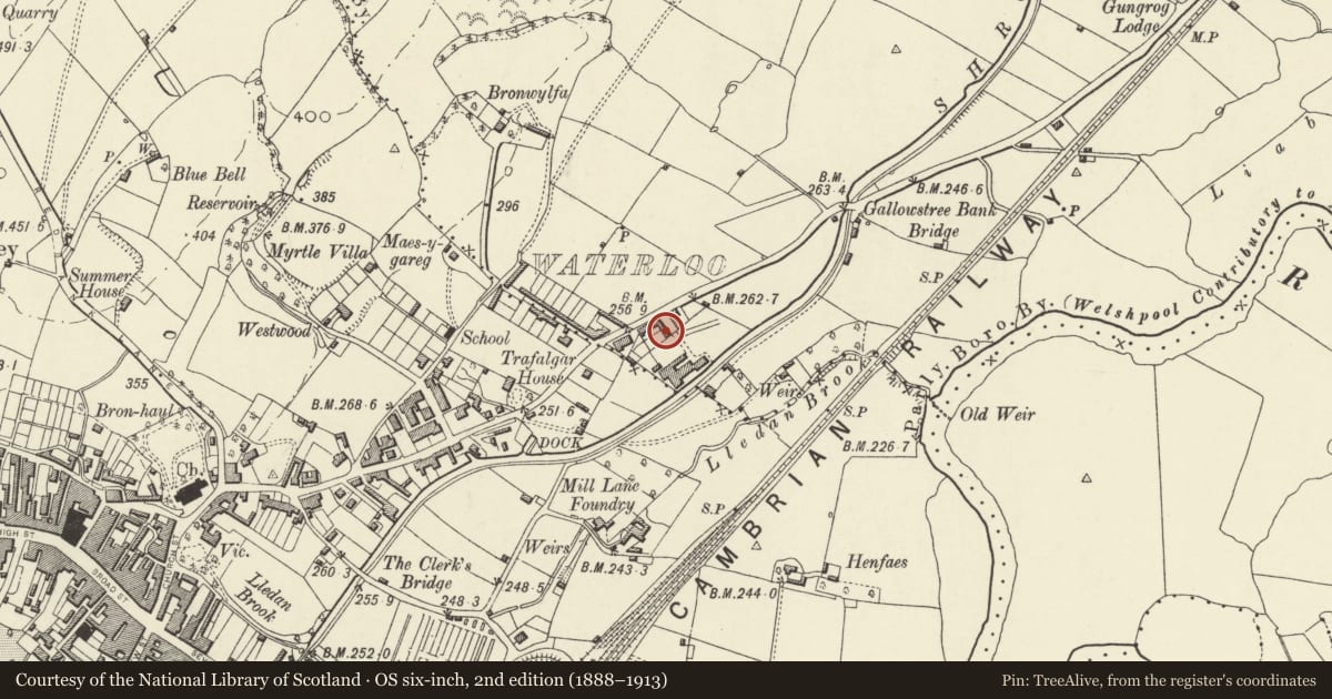 Ordnance Survey six-inch map, 2nd edition (1888–1913) covering the location of 4 Waterloo Place, Welshpool, Powys, with a pin at the register's coordinates