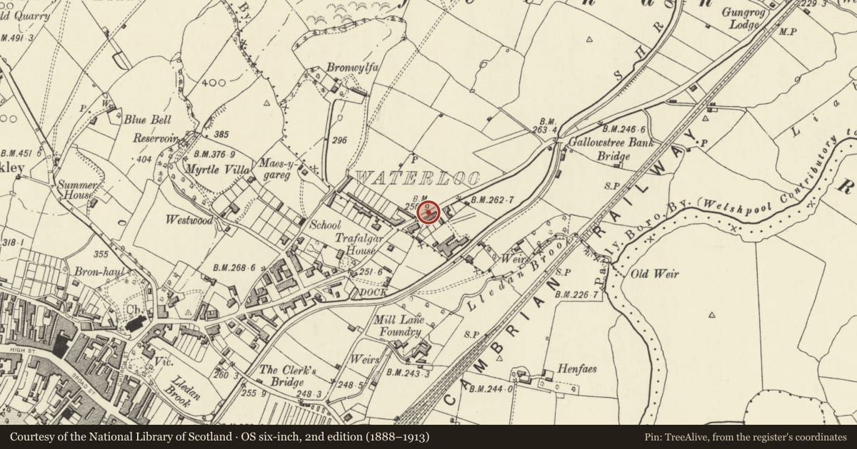Ordnance Survey six-inch map, 2nd edition (1888–1913) covering the location of Railings and Gates at Nos 1-3 Waterloo Terrace, Welshpool, Powys, with a pin at the register's coordinates