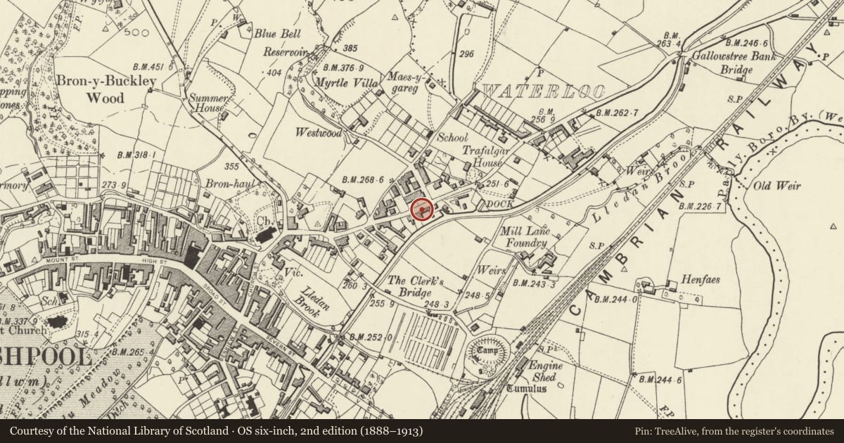 Ordnance Survey six-inch map, 2nd edition (1888–1913) covering the location of Ivy House, Welshpool, Powys, with a pin at the register's coordinates