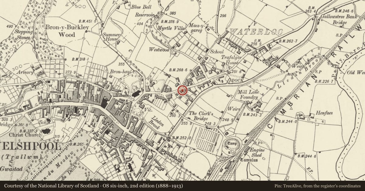 Ordnance Survey six-inch map, 2nd edition (1888–1913) covering the location of Collen Buildings including railings to front garden, Welshpool, Powys, with a pin at the register's coordinates