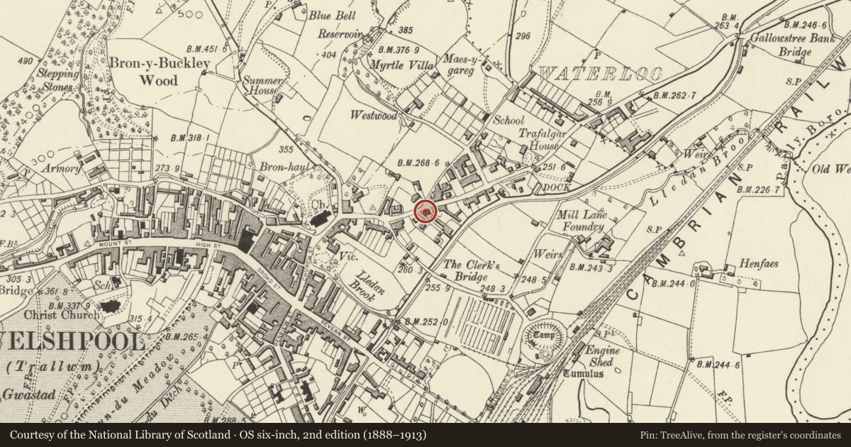 Ordnance Survey six-inch map, 2nd edition (1888–1913) covering the location of Collen Buildings including railings to front garden, Welshpool, Powys, with a pin at the register's coordinates