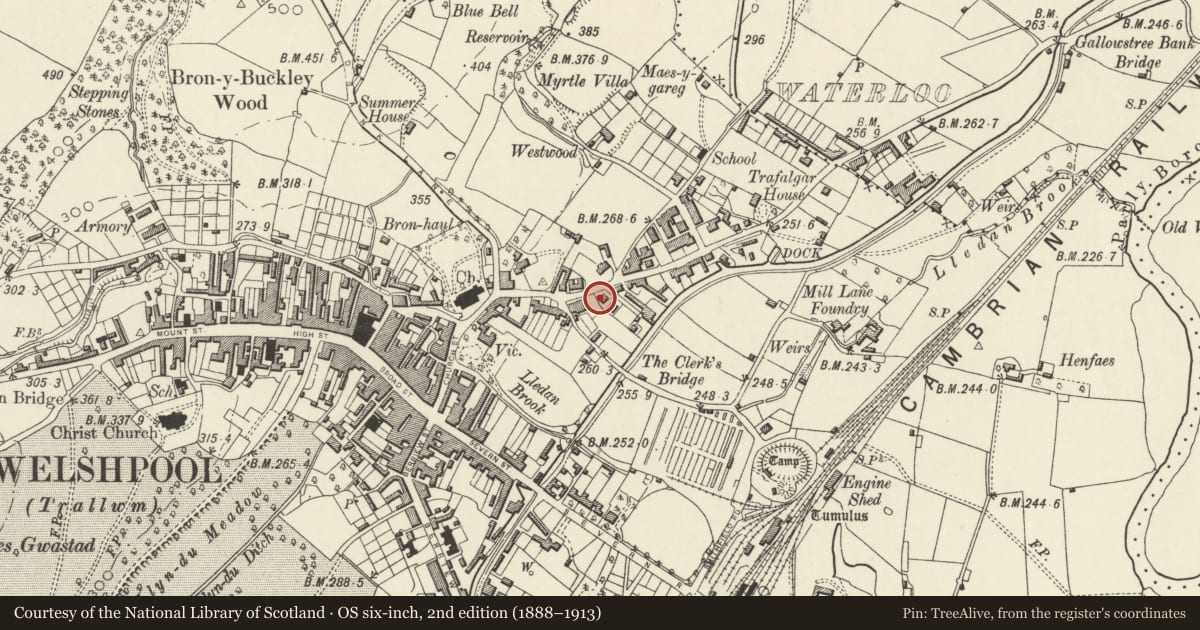 Ordnance Survey six-inch map, 2nd edition (1888–1913) covering the location of 37 Salop Road, Welshpool, Powys, with a pin at the register's coordinates