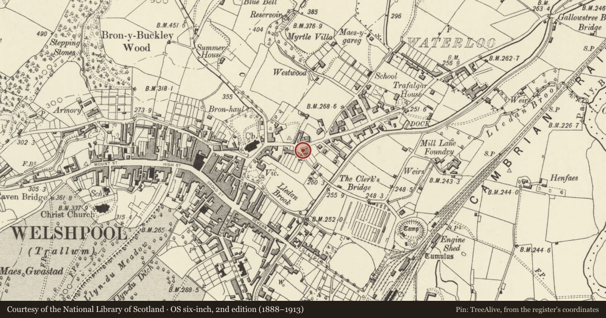 Ordnance Survey six-inch map, 2nd edition (1888–1913) covering the location of 41 Salop Road, Welshpool, Powys, with a pin at the register's coordinates