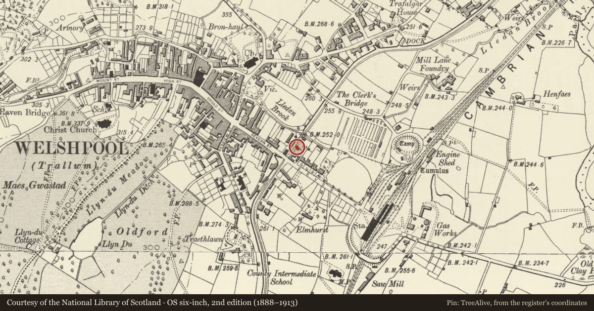 Ordnance Survey six-inch map, 2nd edition (1888–1913) covering the location of Former Canal Warehouse, Welshpool, Powys, with a pin at the register's coordinates