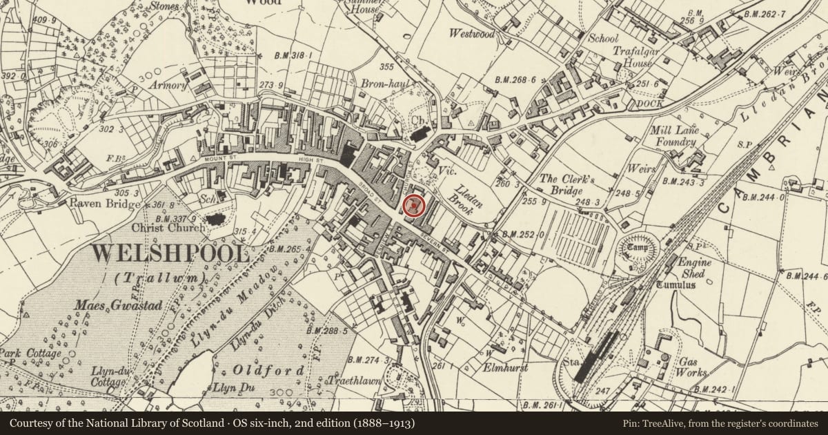 Ordnance Survey six-inch map, 2nd edition (1888–1913) covering the location of Former Royal Oak Flannel Factory, Welshpool, Powys, with a pin at the register's coordinates