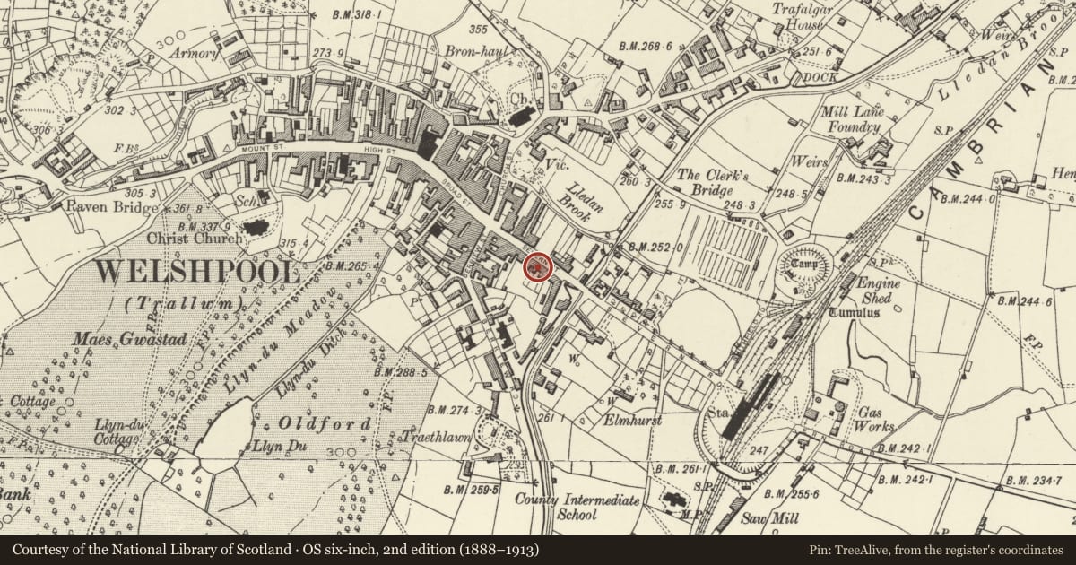 Ordnance Survey six-inch map, 2nd edition (1888–1913) covering the location of 21 Severn Street, Welshpool, Powys, with a pin at the register's coordinates