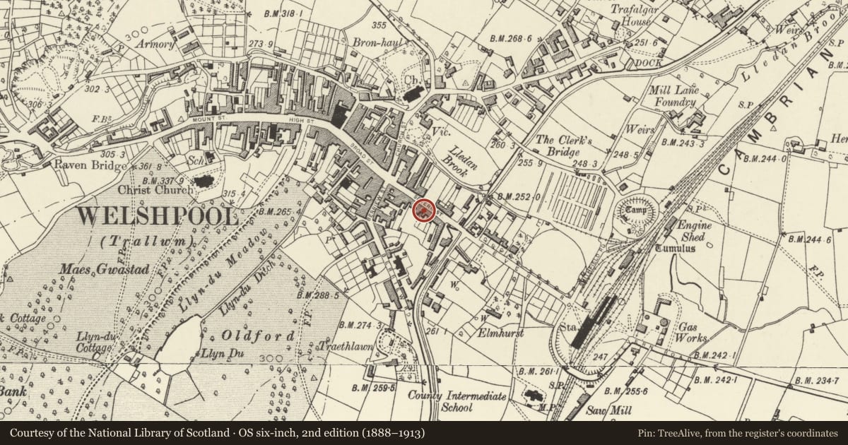 Ordnance Survey six-inch map, 2nd edition (1888–1913) covering the location of 22 Severn Street, Welshpool, Powys, with a pin at the register's coordinates