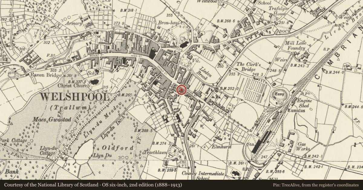 Ordnance Survey six-inch map, 2nd edition (1888–1913) covering the location of 26 Severn Street, Welshpool, Powys, with a pin at the register's coordinates