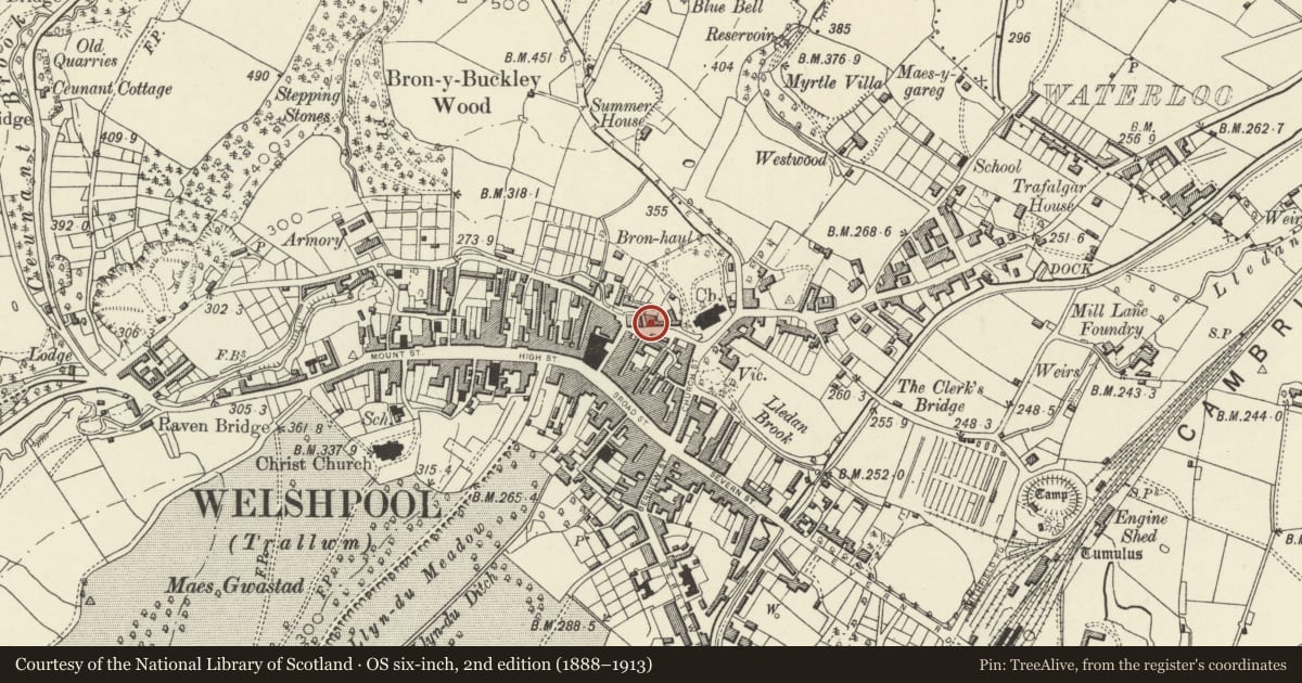 Ordnance Survey six-inch map, 2nd edition (1888–1913) covering the location of 8 Union Street, Welshpool, Powys, with a pin at the register's coordinates