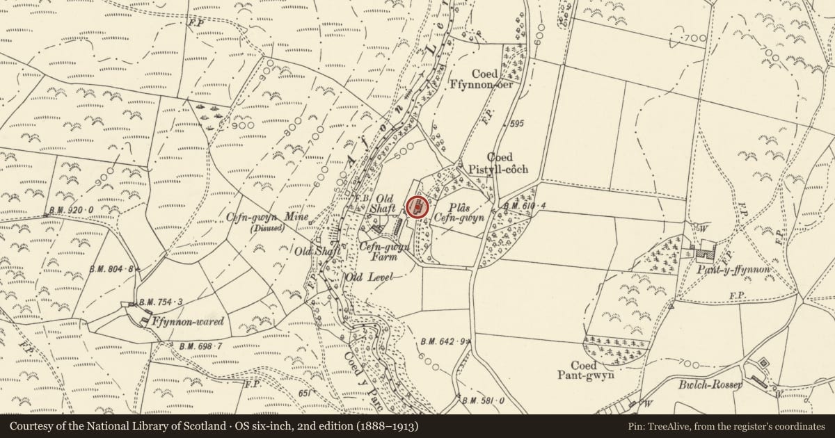 Ordnance Survey six-inch map, 2nd edition (1888–1913) covering the location of Plas Cefn Gwyn, Ceulanamaesmawr, Ceredigion, with a pin at the register's coordinates
