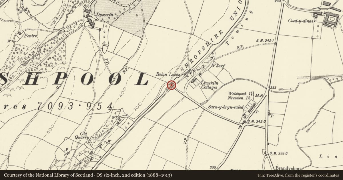 Ordnance Survey six-inch map, 2nd edition (1888–1913) covering the location of Bridge 121 over the Montgomeryshire Canal, Welshpool, Powys, with a pin at the register's coordinates