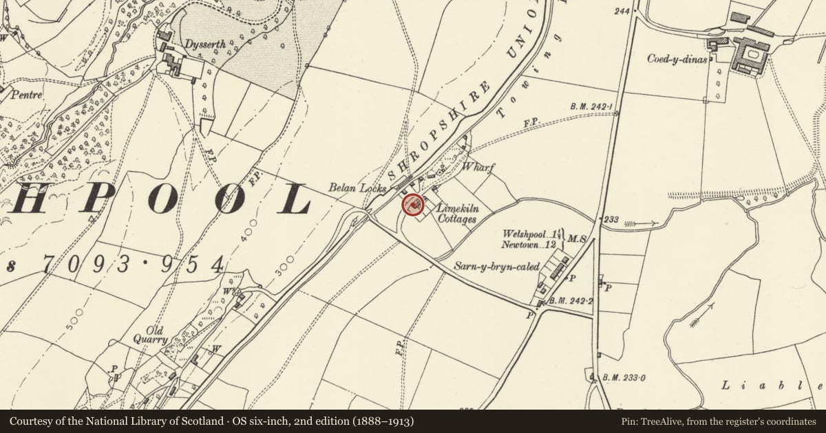 Ordnance Survey six-inch map, 2nd edition (1888–1913) covering the location of No1 Limekiln Cottages, Welshpool, Powys, with a pin at the register's coordinates