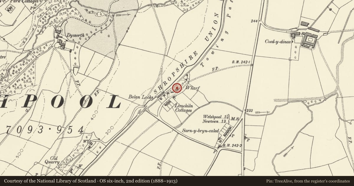 Ordnance Survey six-inch map, 2nd edition (1888–1913) covering the location of Southern Lime-Kiln Bank, Welshpool, Powys, with a pin at the register's coordinates