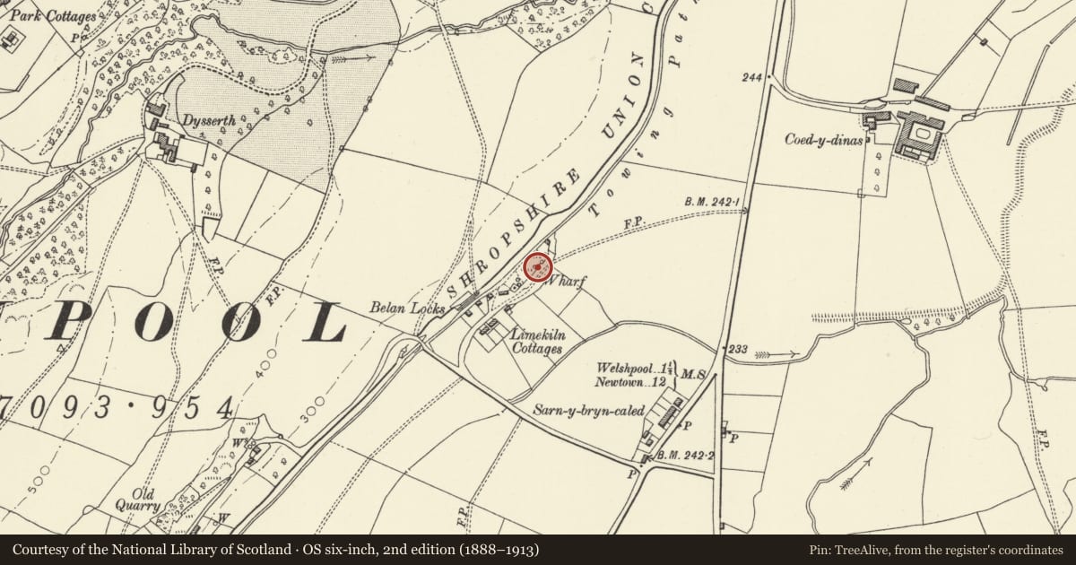 Ordnance Survey six-inch map, 2nd edition (1888–1913) covering the location of Northern Lime-Kiln Bank, Welshpool, Powys, with a pin at the register's coordinates