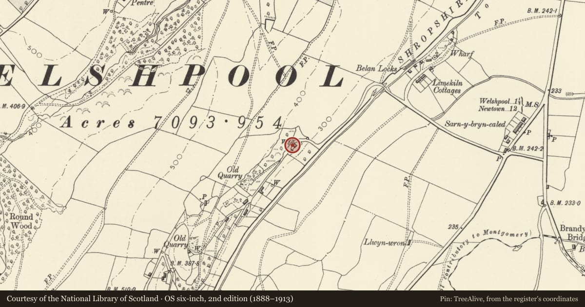 Ordnance Survey six-inch map, 2nd edition (1888–1913) covering the location of Corner House, Welshpool, Powys, with a pin at the register's coordinates