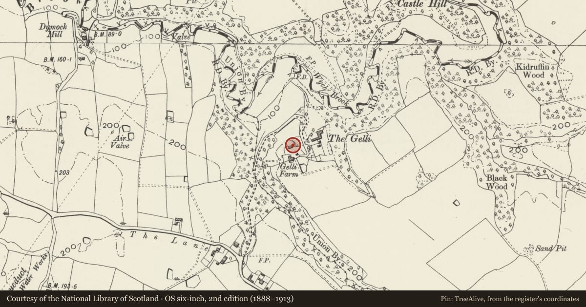 Ordnance Survey six-inch map, 2nd edition (1888–1913) covering the location of Gelli Farmhouse, Bronington, Wrexham, with a pin at the register's coordinates