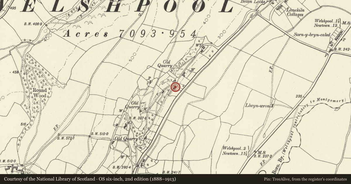 Ordnance Survey six-inch map, 2nd edition (1888–1913) covering the location of Rose House, Welshpool, Powys, with a pin at the register's coordinates
