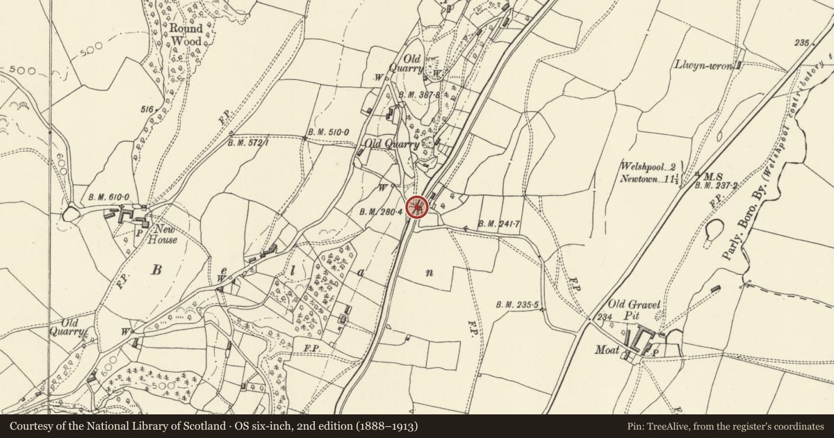 Ordnance Survey six-inch map, 2nd edition (1888–1913) covering the location of Bridge 122 over the Montgomeryshire Canal, Welshpool, Powys, with a pin at the register's coordinates