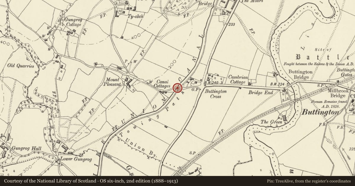 Ordnance Survey six-inch map, 2nd edition (1888–1913) covering the location of Bridge 115 over the Montgomeryshire Canal, Welshpool, Powys, with a pin at the register's coordinates