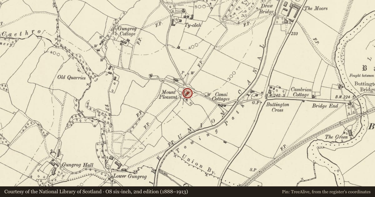Ordnance Survey six-inch map, 2nd edition (1888–1913) covering the location of Mount Pleasant, Welshpool, Powys, with a pin at the register's coordinates