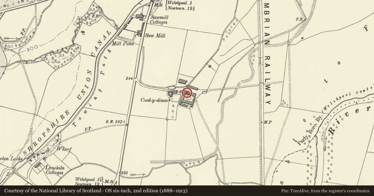 Ordnance Survey six-inch map, 2nd edition (1888–1913) covering the location of Barn and Granary Range at Coed-y-dinas, Welshpool, Powys, with a pin at the register's coordinates