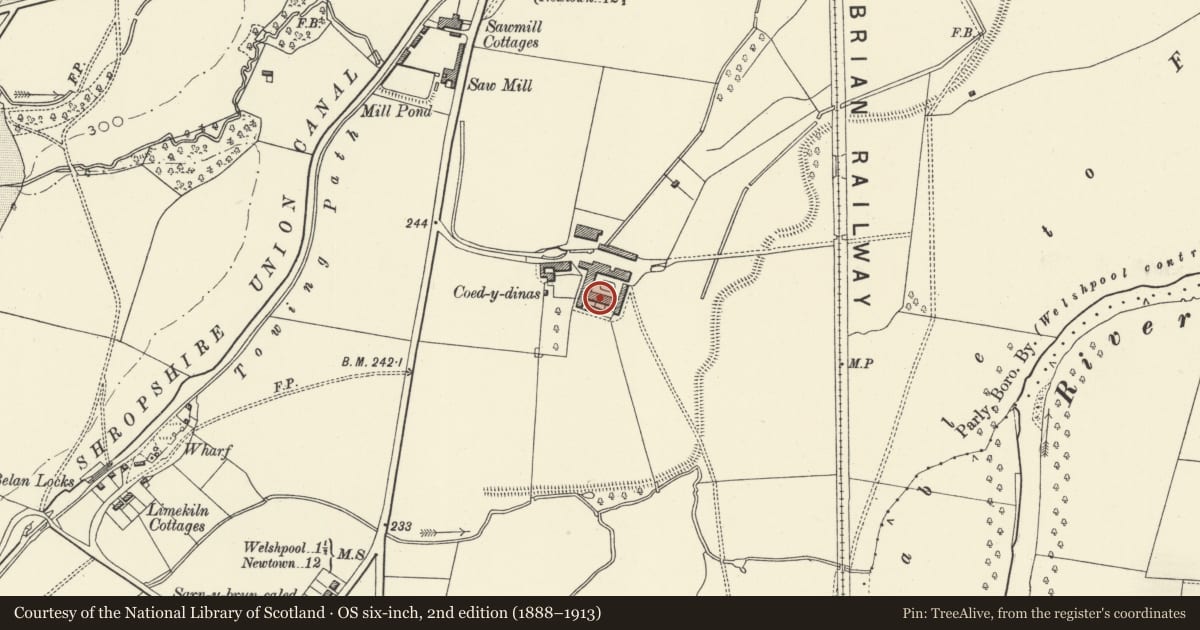 Ordnance Survey six-inch map, 2nd edition (1888–1913) covering the location of Cowsheds at Coed-y-dinas, Welshpool, Powys, with a pin at the register's coordinates